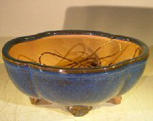 Blue Ceramic Bonsai Pot  Oval Lotus Shaped  Professional Series  8.25" x 7.25" x 3.5"
