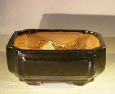 Black Ceramic Bonsai Pot Rectangle with Indented Corners Professional Series 8.25" x 6.75" x 3.5"