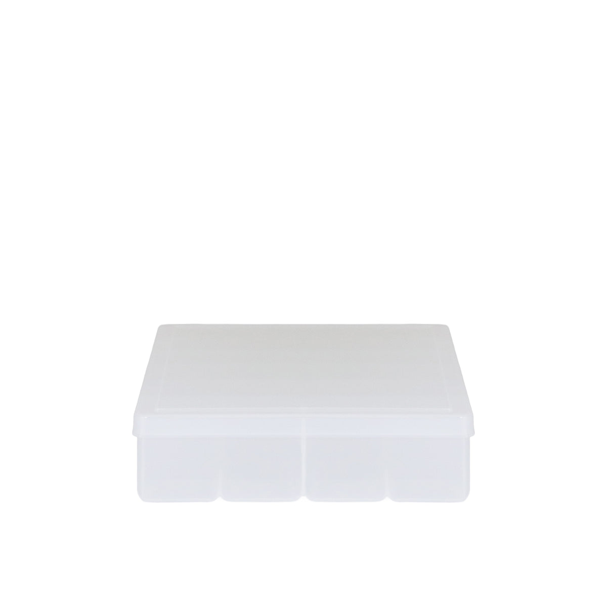 Large Plastic Compartment Box, 24 Openings