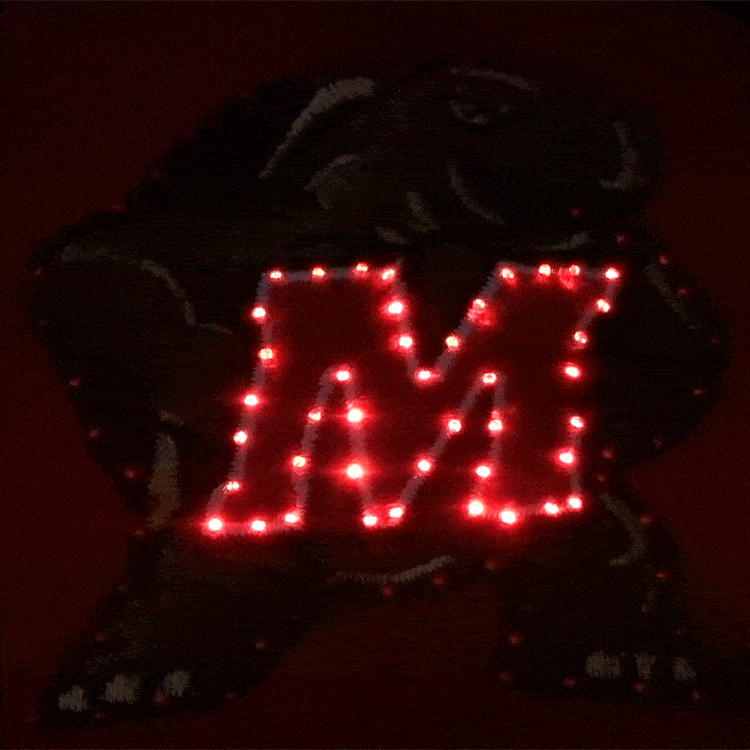 Maryland Terrapins Flashing Fiber Optic Cap