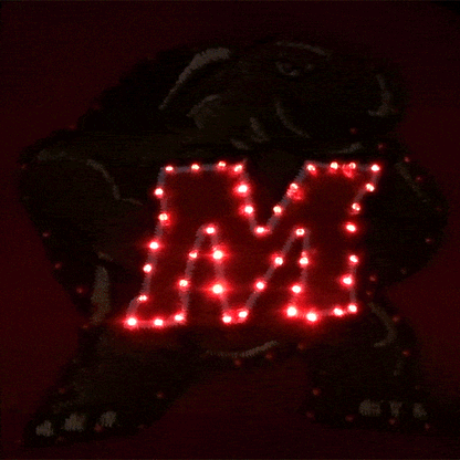Maryland Terrapins Flashing Fiber Optic Cap