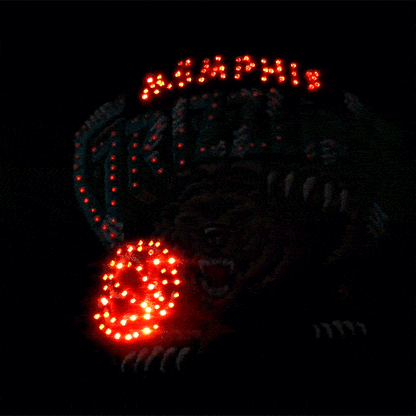 Memphis Grizzlies Flashing Fiber Optic Cap