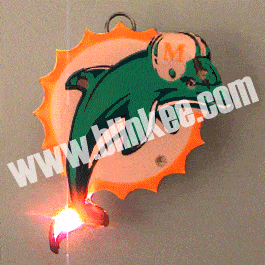 Miami Dolphins