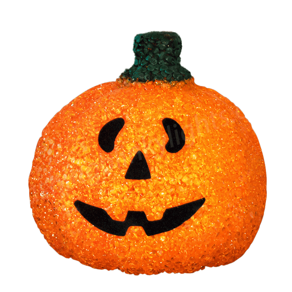 LED Pumpkin Patch Jack O Lantern