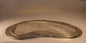 Rock Planting Slab - Medium 18" x 10.5" x 1"