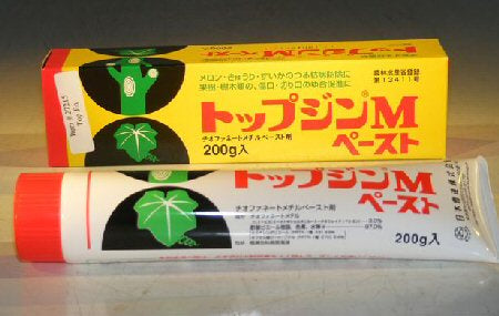 Bonsai Wound / Cut Paste Dressing - 200 Gram Tube   Seals Bonsai Tree Wounds