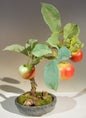 Artificial Apple Bonsai Tree
