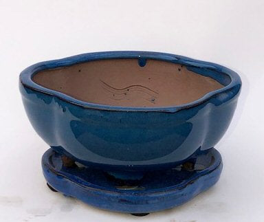 Blue Ceramic Bonsai Pot -Lotus Shaped With Attached Humidity Drip Tray 6.25" x 5.25" x 3.5"