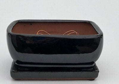 Black Ceramic Bonsai Pot- Rectangle  Professional Series With Attached Humidity/Drip Tray  8.25" x 6.0" x 4.0"