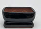 Black Ceramic Bonsai Pot- Rectangle  Professional Series With Attached Humidity/Drip Tray  8.25" x 6.0" x 4.0"