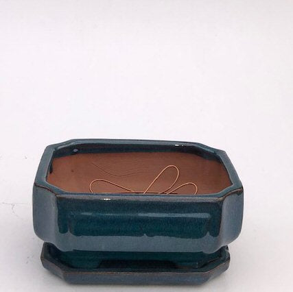 Blue / Green Ceramic Bonsai Pot - Rectangle Professional Series with Attached Humidity/Drip tray  8.25" x 6.5" x 4.0"