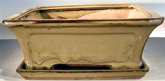 Olive Green Ceramic Bonsai Pot - Rectangle  Professional Series with Attached Humidity/Drip Tray   10.25" x 8.0" x 4.125" OD 9.0" x 7.0" x 3.25" ID