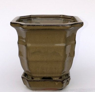 Olive Green Ceramic Bonsai Pot - Square  With Attached Humidity / Drip Tray 5.5" x 5.5" x 5.5"