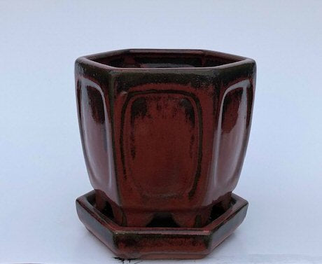 Parisian Red Ceramic Bonsai Pot - Hexagon With Attached Humidity Drip Tray 5.5" x 5.5" x 5.5"