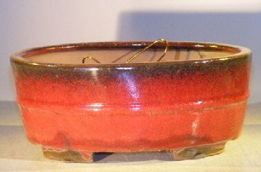 Parisian Red Ceramic Bonsai Pot - Oval  Professional Series   10" x 8" x 4"