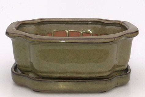 Olive Green Ceramic Bonsai Pot - Rectangle With Humidity Drip Tray 8.5" x 6.5" x 3"